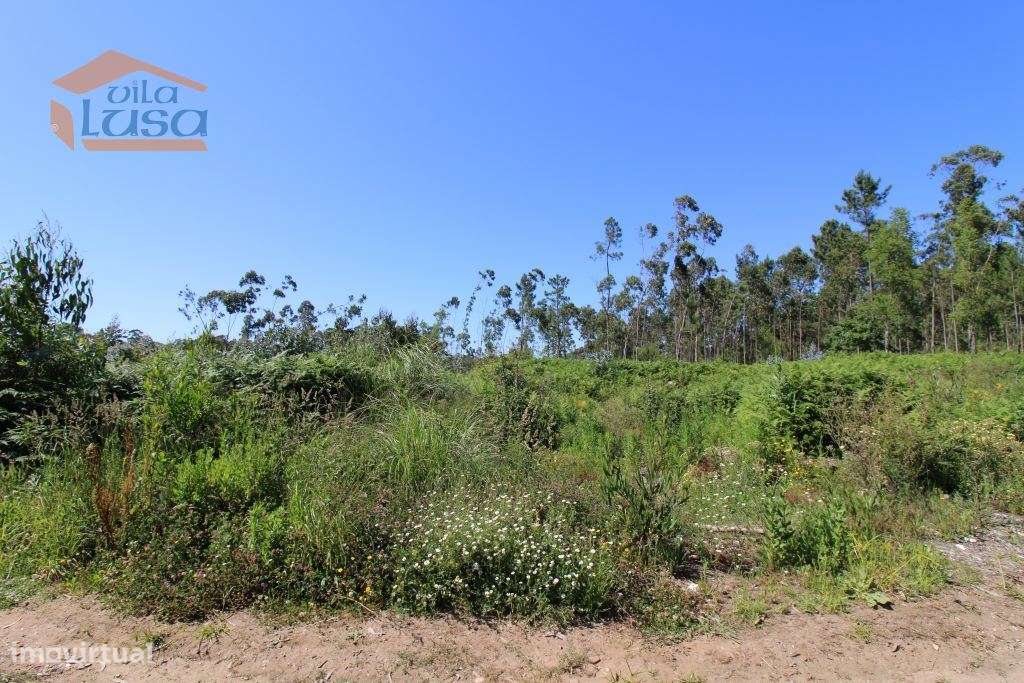 Terreno Industrial com 7400 m2 para a construção de armazém - Grande imagem: 3/10