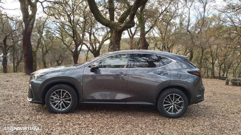 Lexus NX 450h+ Executive+ - 8