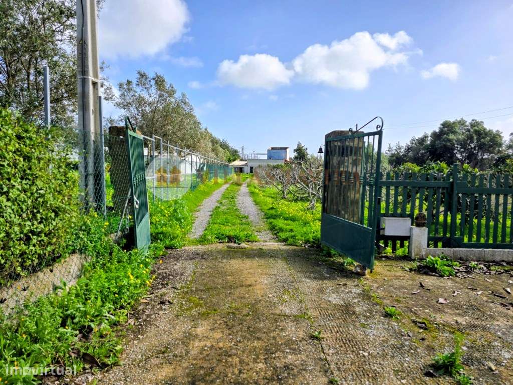 Quinta com 7.320 m² de Terreno - Excelente Oportunidade de Investim... - Grande imagem: 5/60