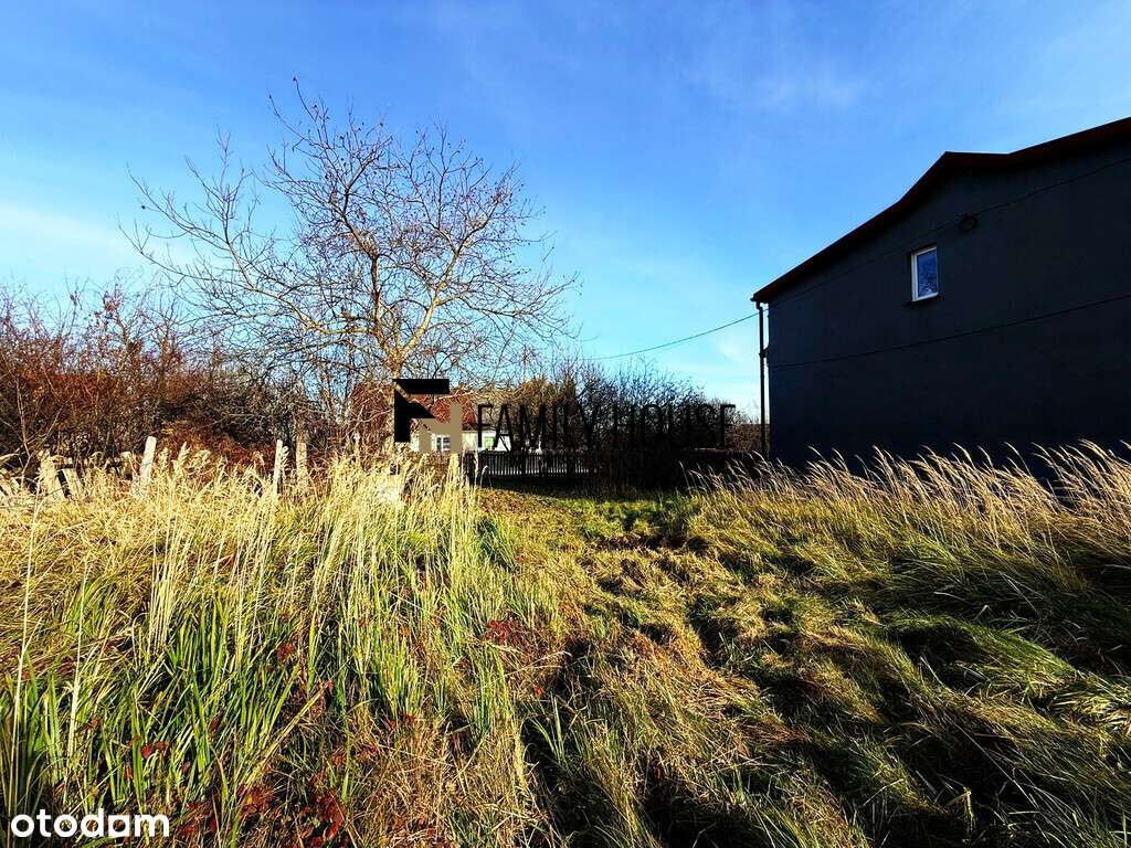 Działka 5000m2/Węglów gm. Wąchock - Pełny obrazek: 5/8