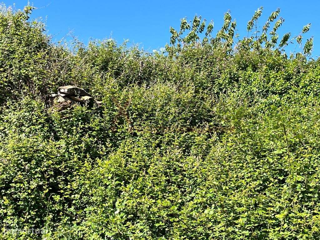 Terreno misto - Grande imagem: 4/7