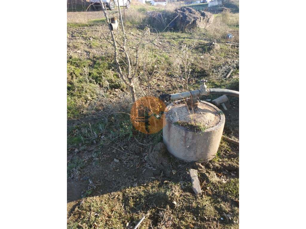 TERRENO COM RUINA - 4.960 M2 - COM NORA - ÁGUA DA BARRAGEM NA JUNQU...-10