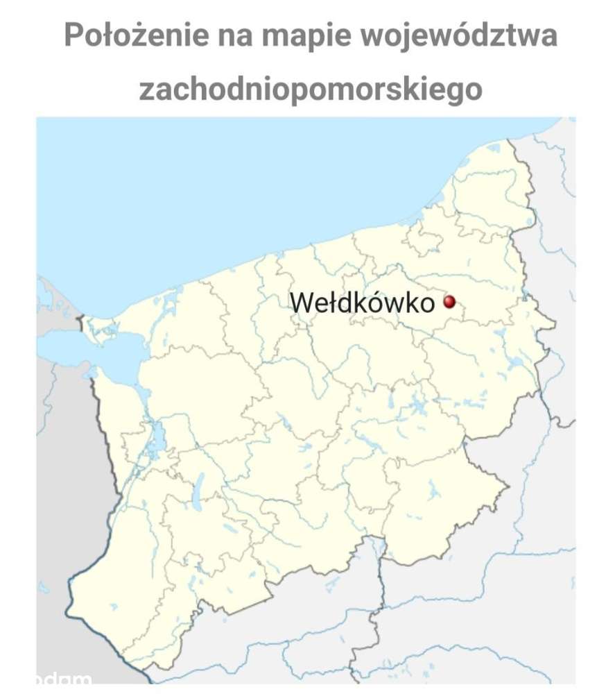 Działka siedliskowa 3130 m2 .Las. Morze. Nad rzeką-9