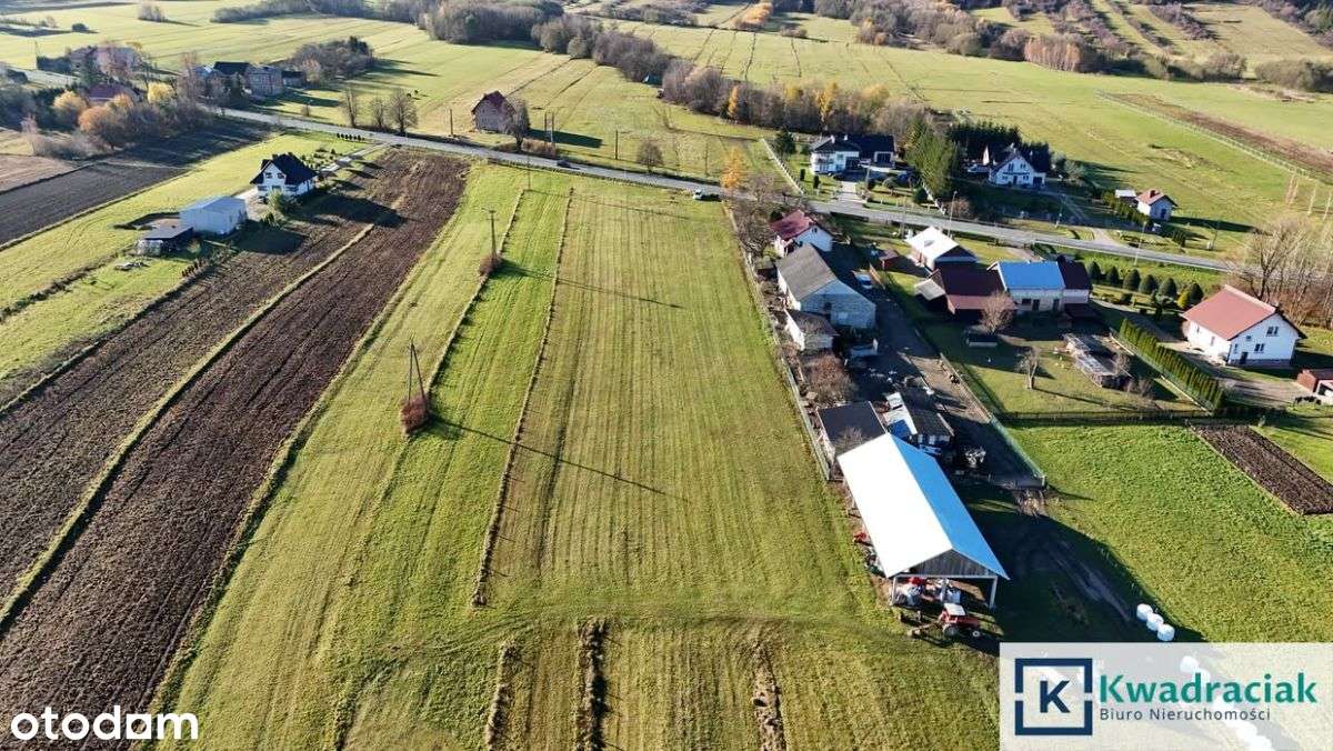 Dużą działka 0,93 ha z mediami - Nowy Żmigrodzie-12