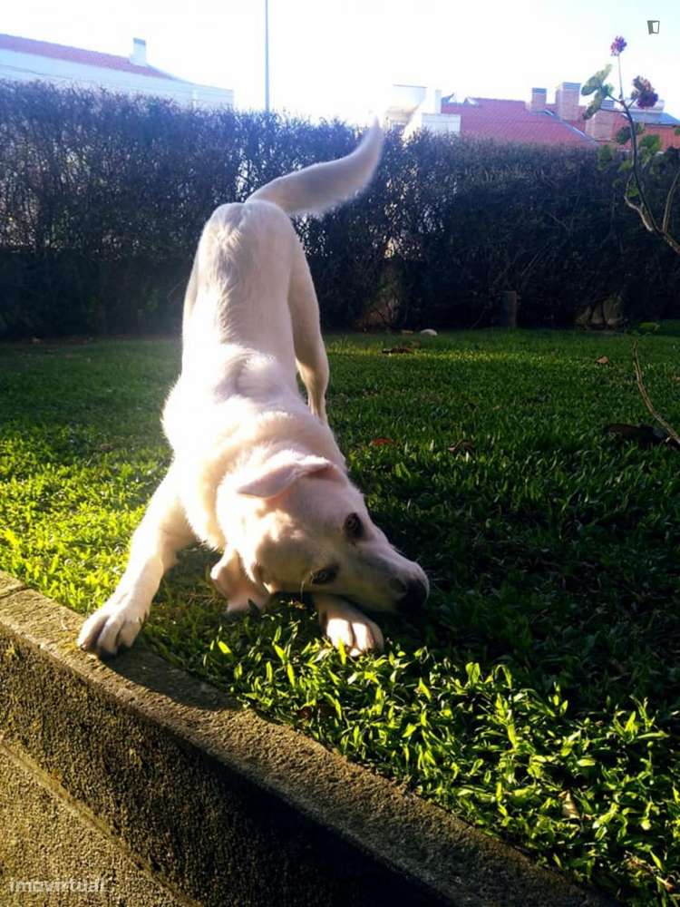 Quarto - localizado em Vila nova de gaia - Grande imagem: 2/7