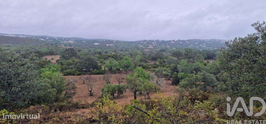 Terreno Agrícola em São Brás de Alportel de 3400,00 m2 - Grande imagem: 2/7