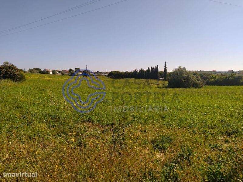 Terreno com 13.700m2 a 5 minutos da cidade de Tomar - Grande imagem: 1/19