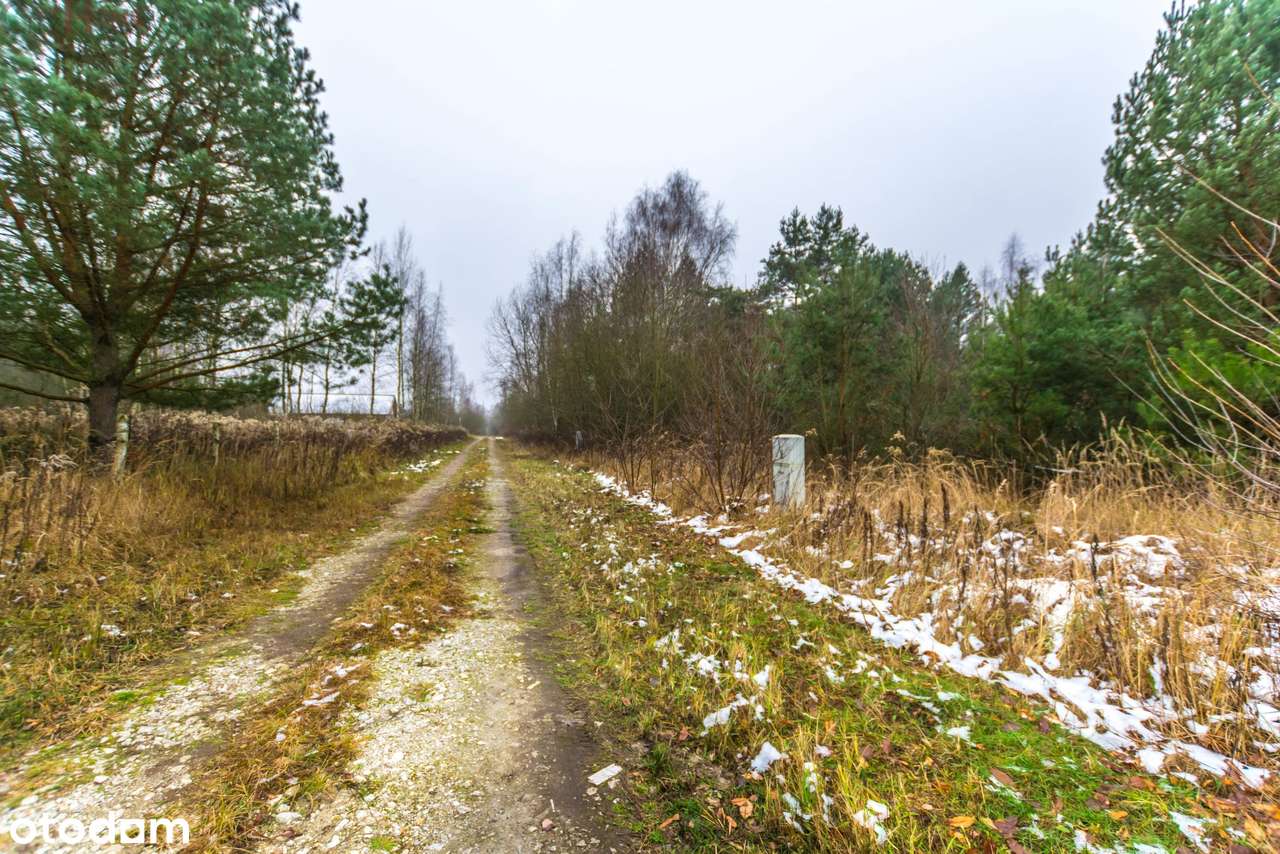 Działka, 1100.0 m², Kamionka-6