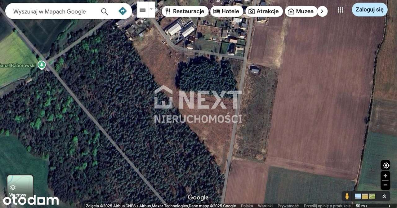 Nowy Podział Działek przy Lesie! Cisza!-7