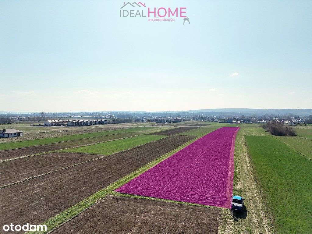 Działka Rze. 90ar pod sklep wielkopowierzchniowy - Pełny obrazek: 4/14