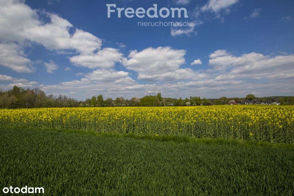 Działka 56 ar zKraczkowa, powiat łańcucki - Pełny obrazek: 5/12