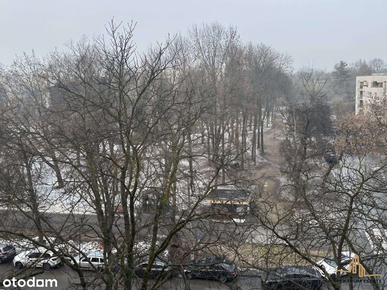 3 Pokoje Przy Placu Centralnym , Winda !!-7