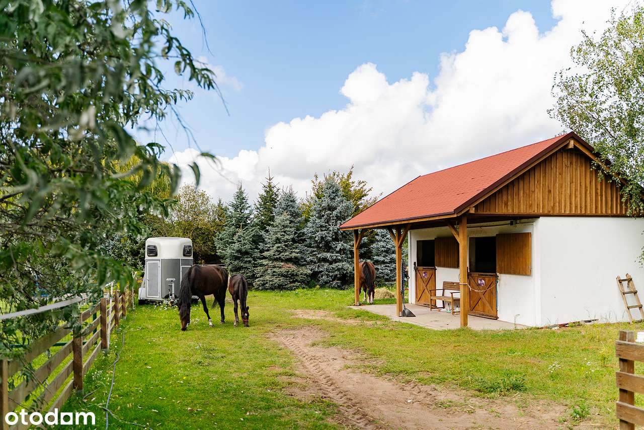 Wyjątkowy dom z duszą | 4038 m² działki | Stajnia i piękny ogród-18