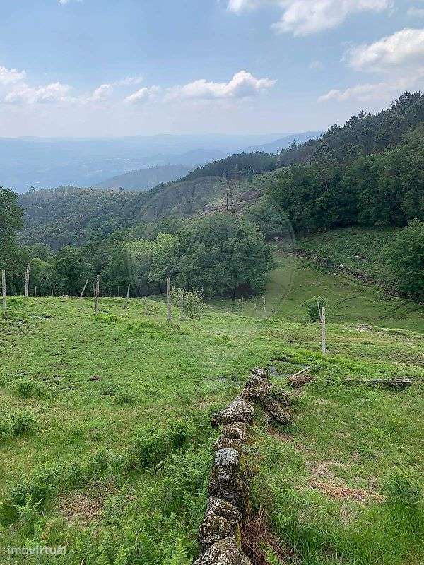 Terreno  para venda-3