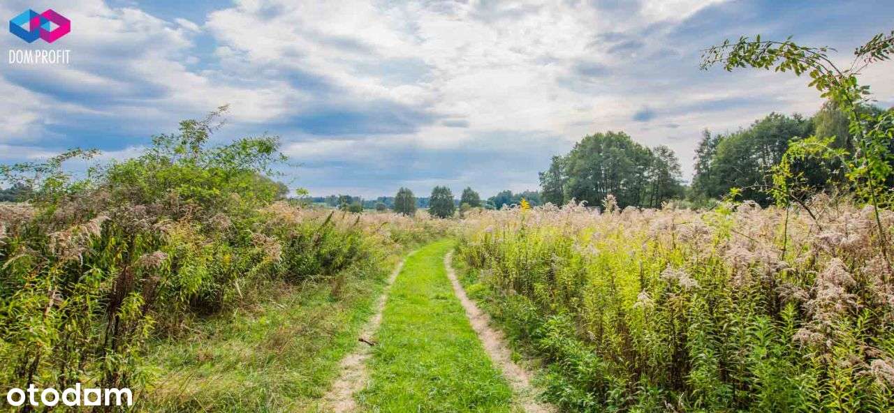 *** Nieziemskie Miejsce *** - Pełny obrazek: 5/20
