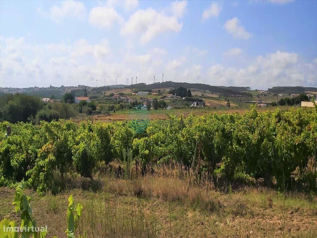 Terreno Misto em Casal dos Pinheirinhos - Moita de Ferreiros. - Grande imagem: 4/12