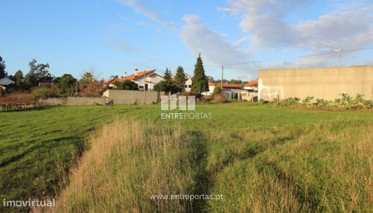 Venda de Terreno com 2600m² para construção, Vila Fria, Viana do Ca - Grande imagem: 5/28