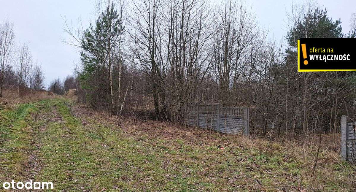 Działka budowlano-rolna Czerwona Górka-3