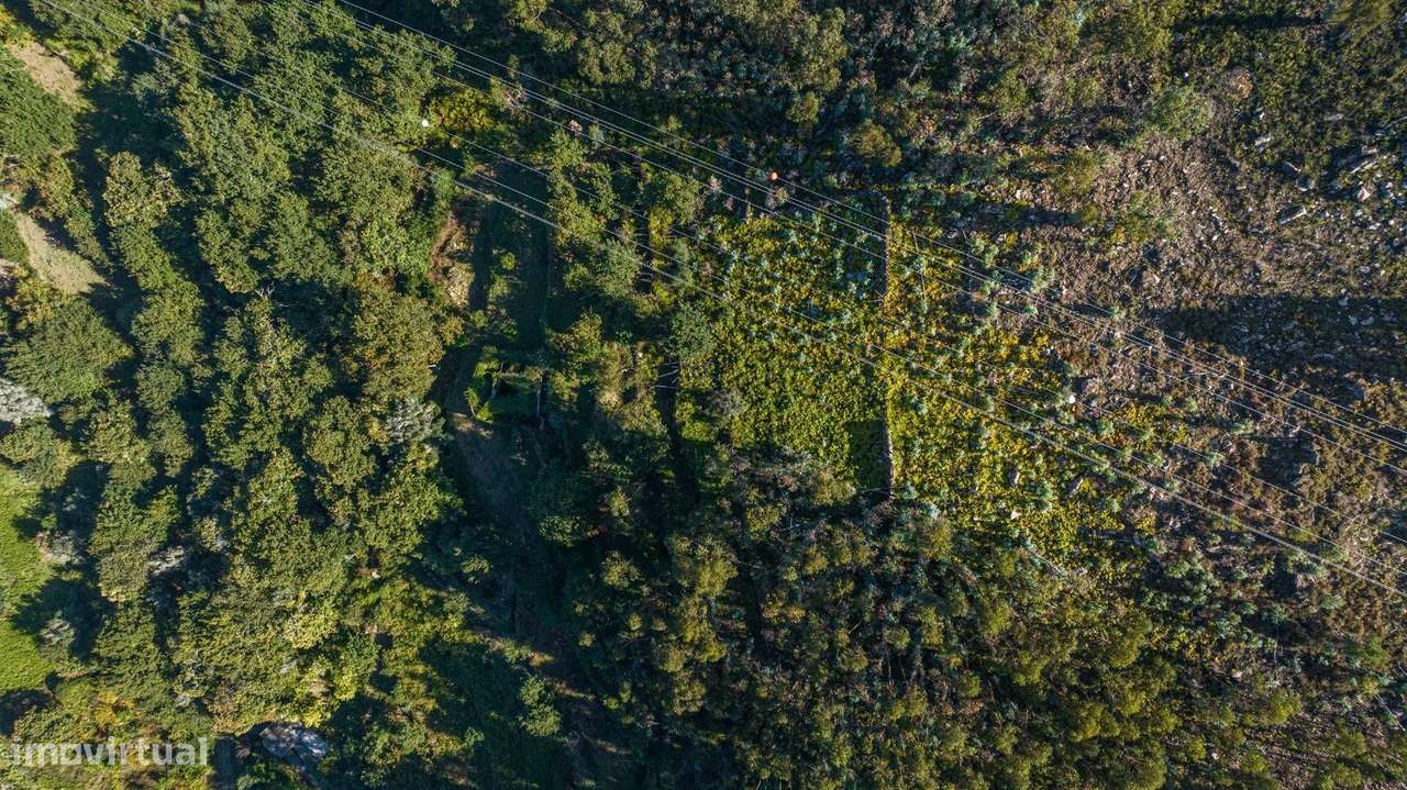 Moradia para Restaurar T2 em UDF de Caldelas, Sequeiros e Paranhos - Grande imagem: 5/9