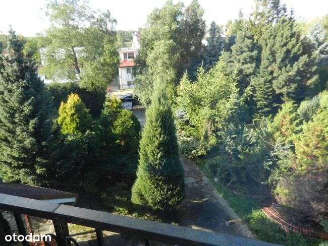 nadmorska działka inwestycyjna pod apartamenty - Pełny obrazek: 5/8