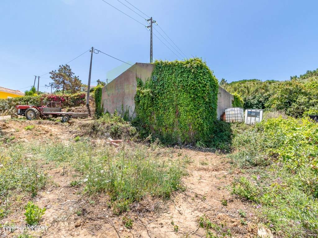 Terreno - Ericeira, A Casa das Casas - Grande imagem: 5/12