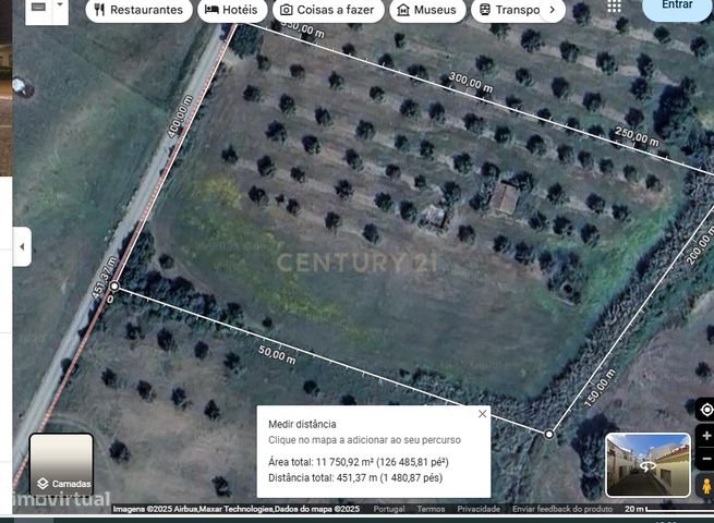 Terreno/Olival  de 11.700 m2 , com Casa para recuperar,  Olival tradic-2