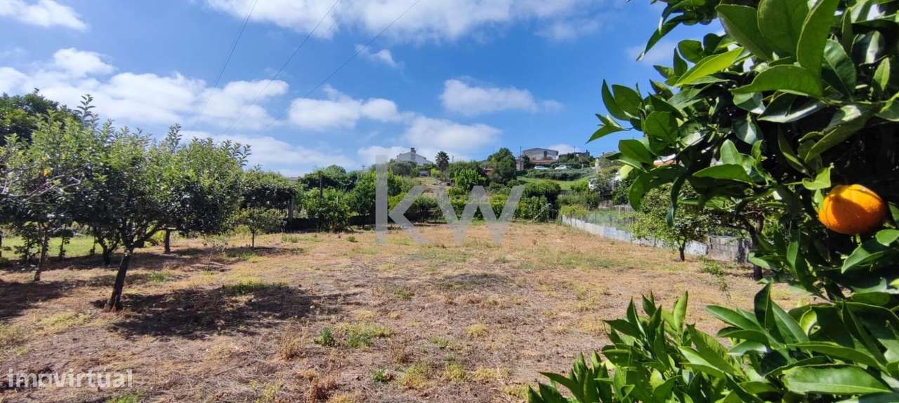 Terreno com 1820m2 em Brasfemes, Coimbra - Grande imagem: 5/12
