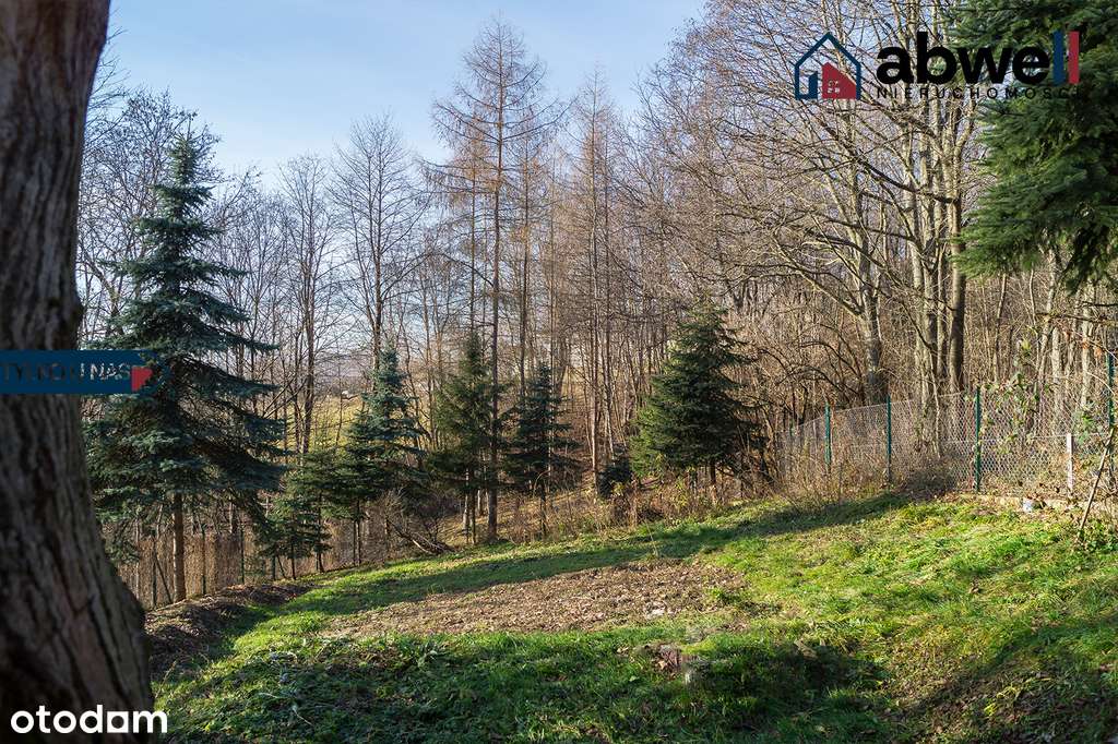 Lanckorona | Dom + grunty 1,07 ha + inwestycja-8