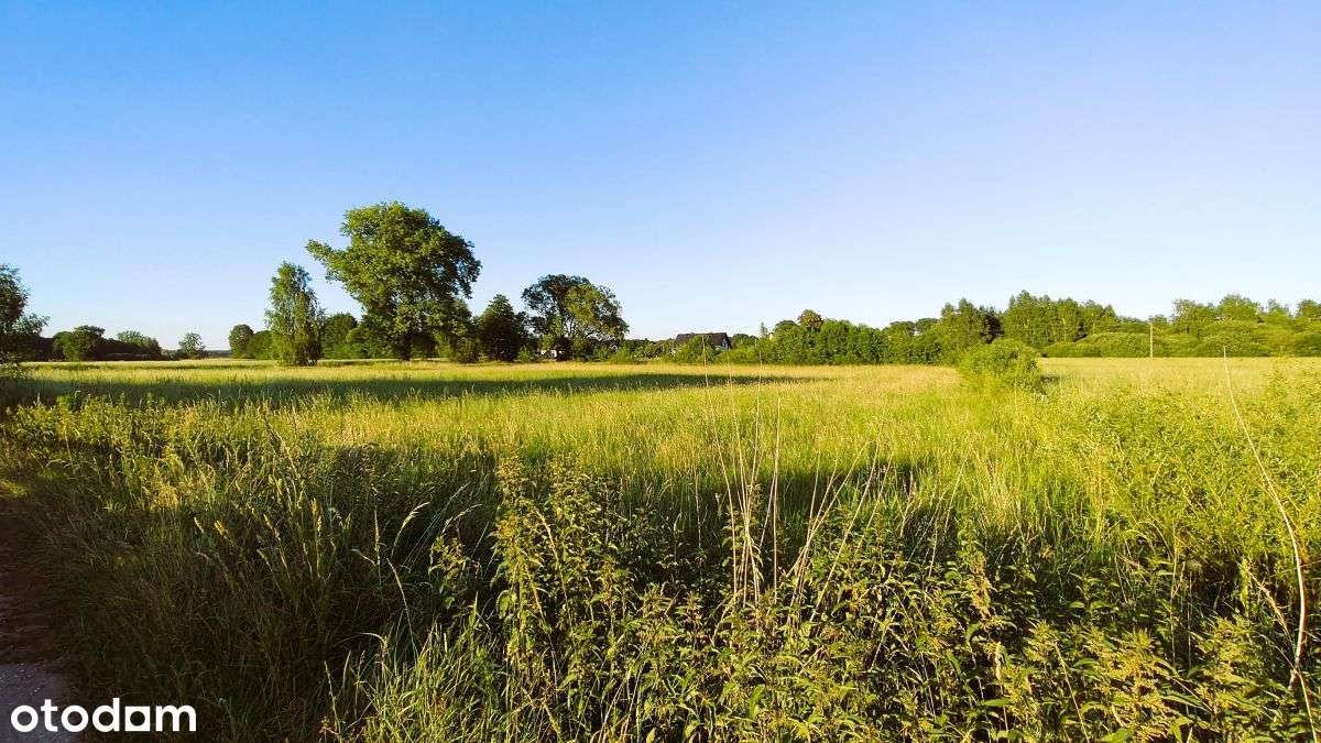 Działka inwest w gm Nekla – 30 km od Poznania-1