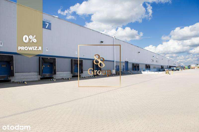 3033 m2 Piaseczno doki - Pełny obrazek: 2/2