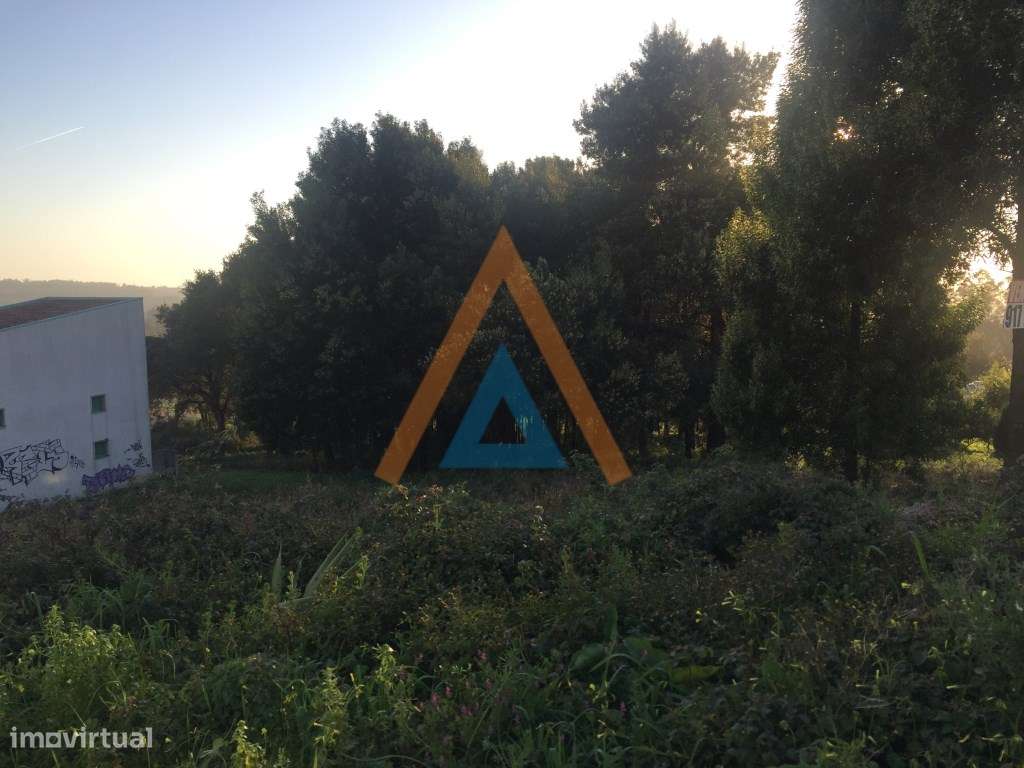 Vista extraordinária - Grande imagem: 4/7