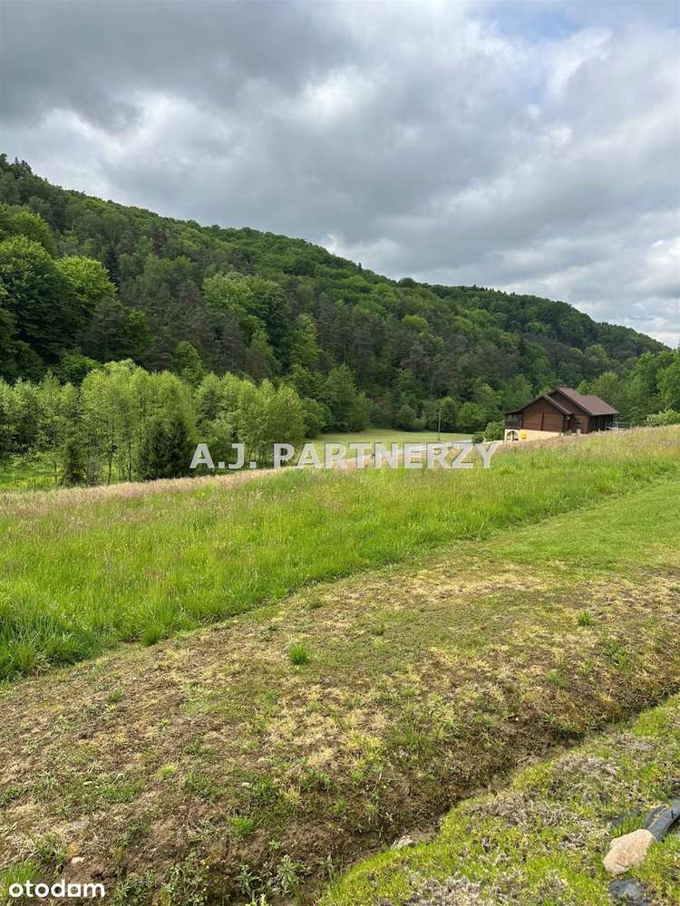 Działka budowlana 31 ar koło Łapanowa-2