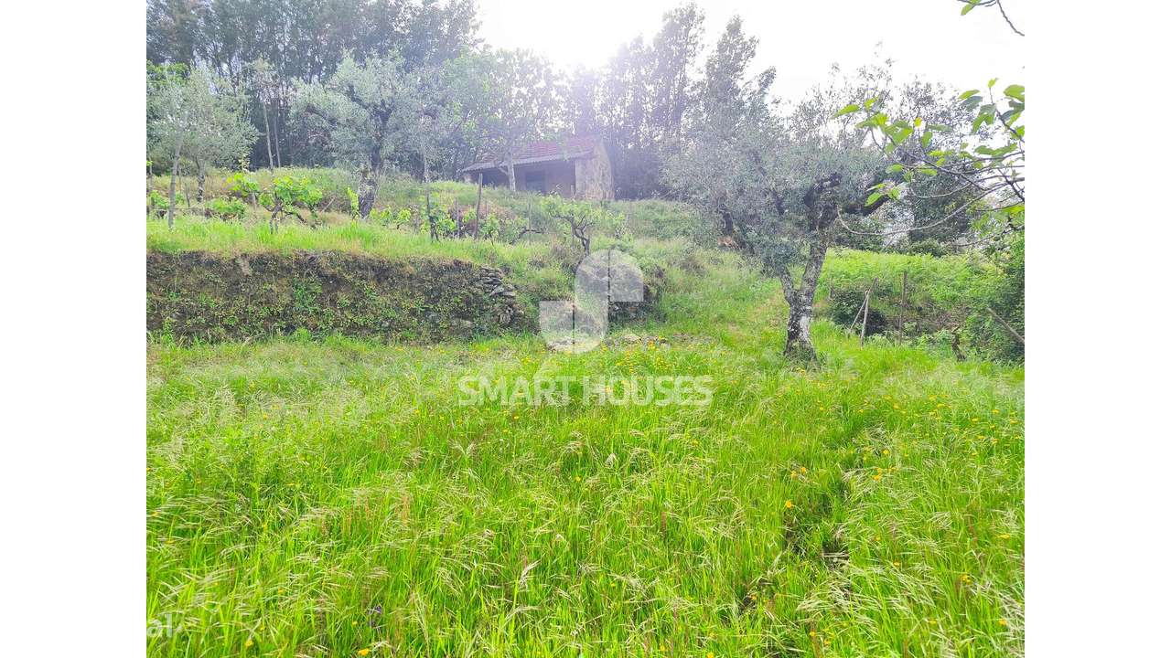 Quintinha em Vila do Mato-15