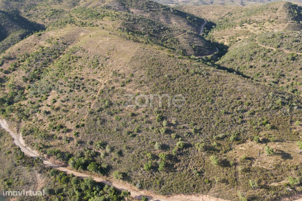 Terreno com mais de 30ha no Pego Escuro em Messines - Grande imagem: 5/15