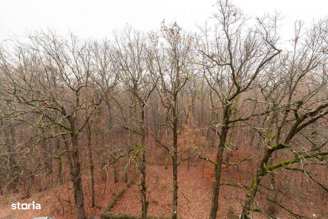 Apartament 2 camere, Gavana-7