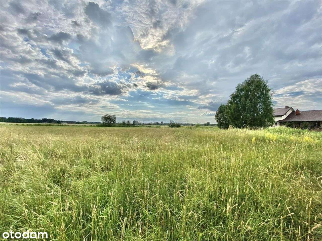 Działka na sprzedaż! - Pełny obrazek: 5/9