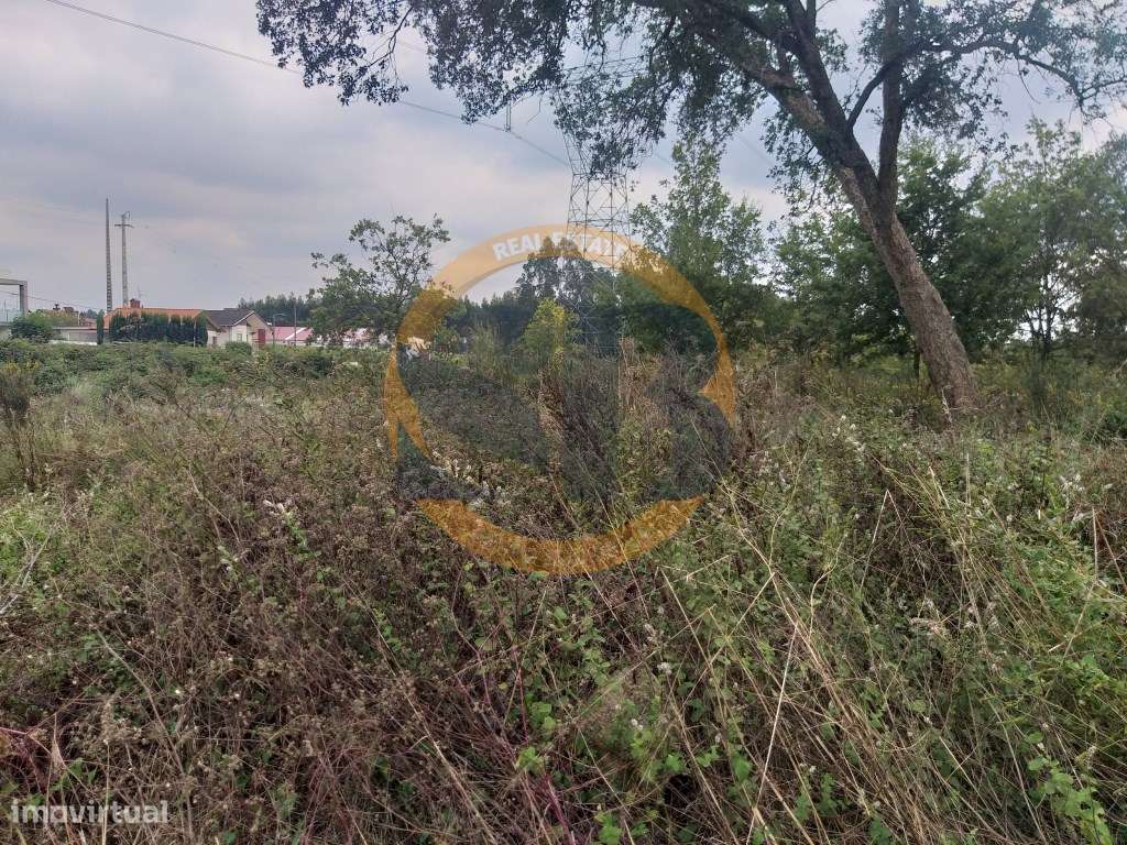 Terreno Industrial Palmaz - Grande imagem: 3/4