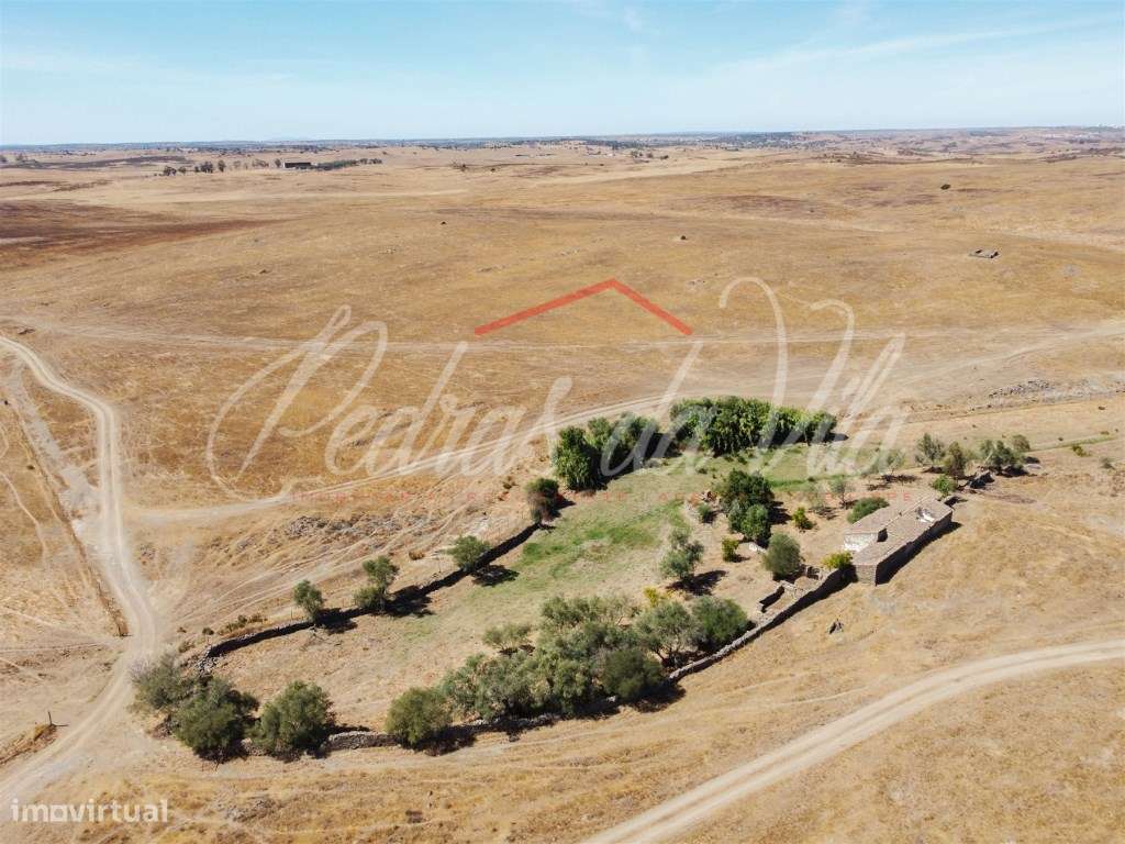 Propriédade de 119ha com varias ruinas - Castro Verde-9