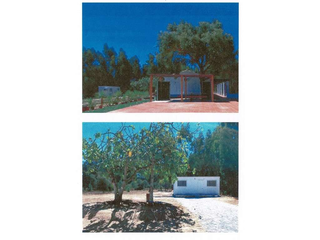 Duas moradias térreas independentes, Terreno 84.000 m2 - São Teotón... - Grande imagem: 5/9