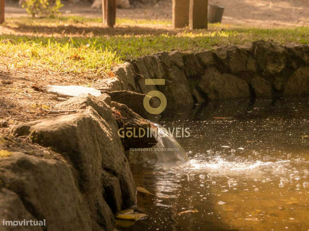 Terreno Rústico  Venda em Pinheiro da Bemposta, Travanca e Palmaz,Oliv - Grande imagem: 5/23