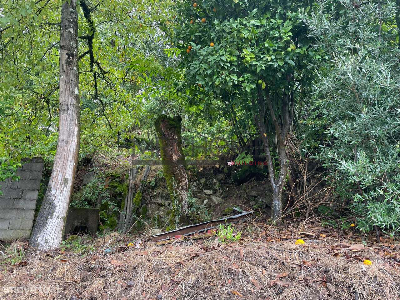 Casa de Aldeia T2 + 2 em Bucos-12