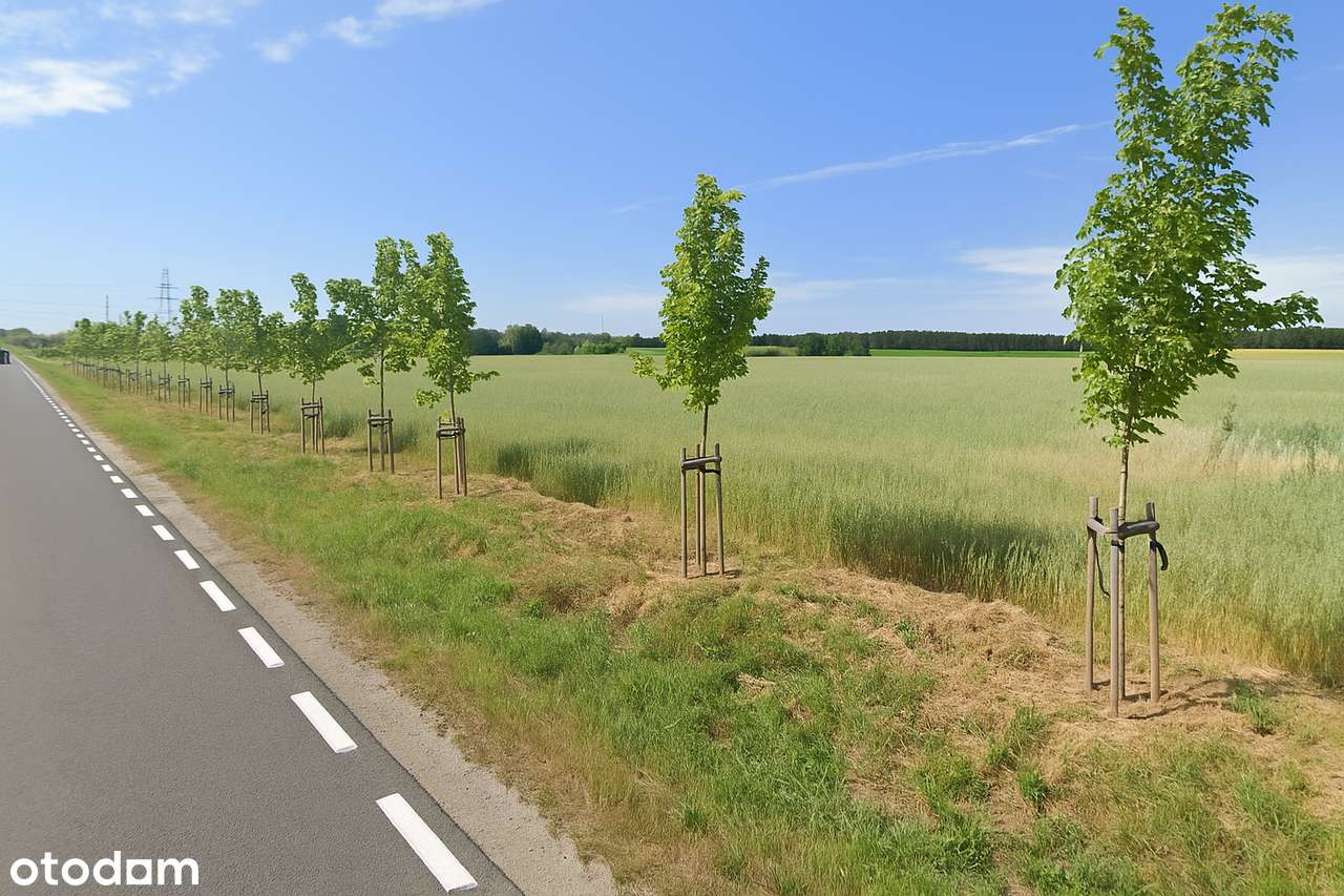 27 000 m2 ZABUDOWA ZAGRODOWA  + 16 000 m2 TERENY ROLNE | Gmina Dopiewo - Pełny obrazek: 4/6