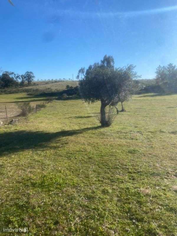 Quinta - Grande imagem: 2/10