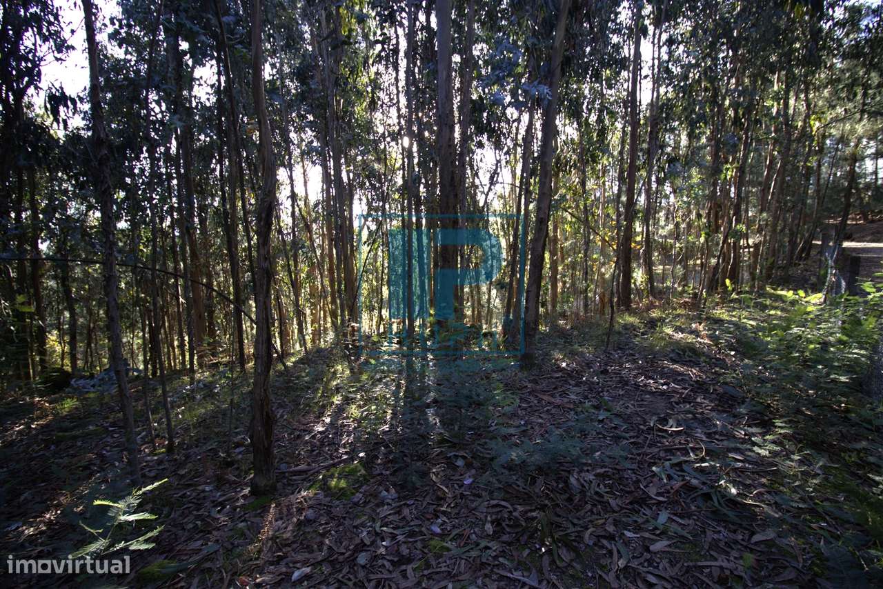 Moradia T3+1 Venda em Penhalonga e Paços de Gaiolo,Marco de Canaveses-39