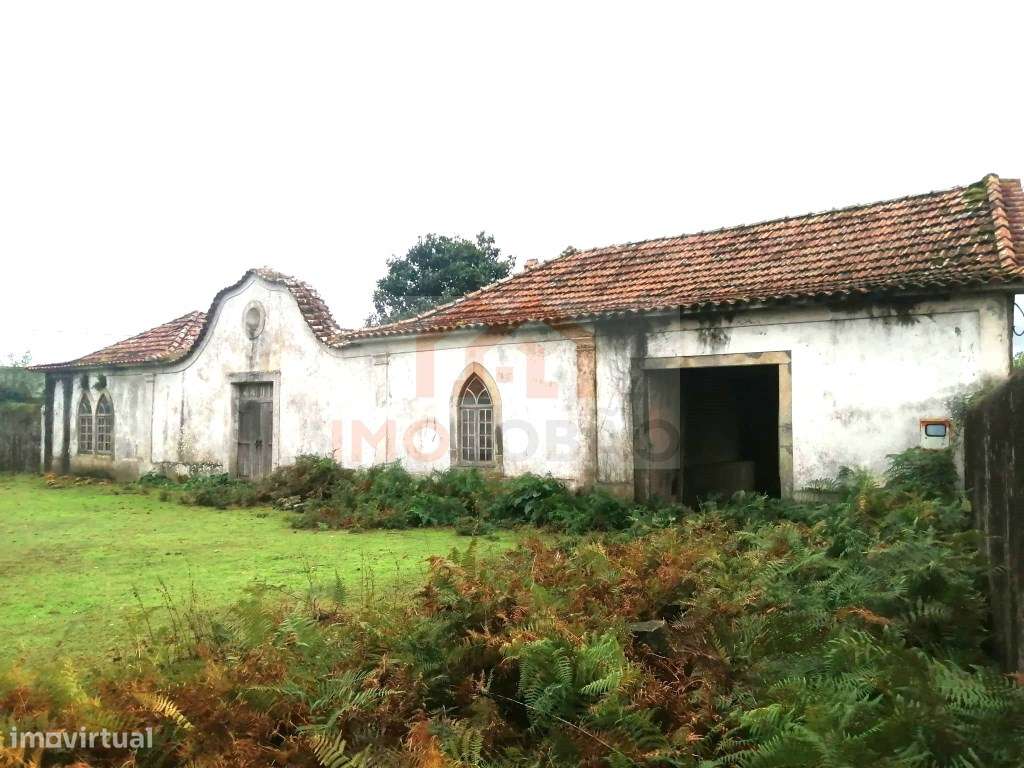 QUINTA - GIÃO-10