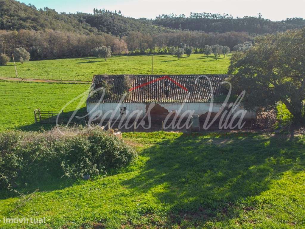Monte Alentejano de 36ha com 3 ruinas - Pego das Pias - Odemira-27