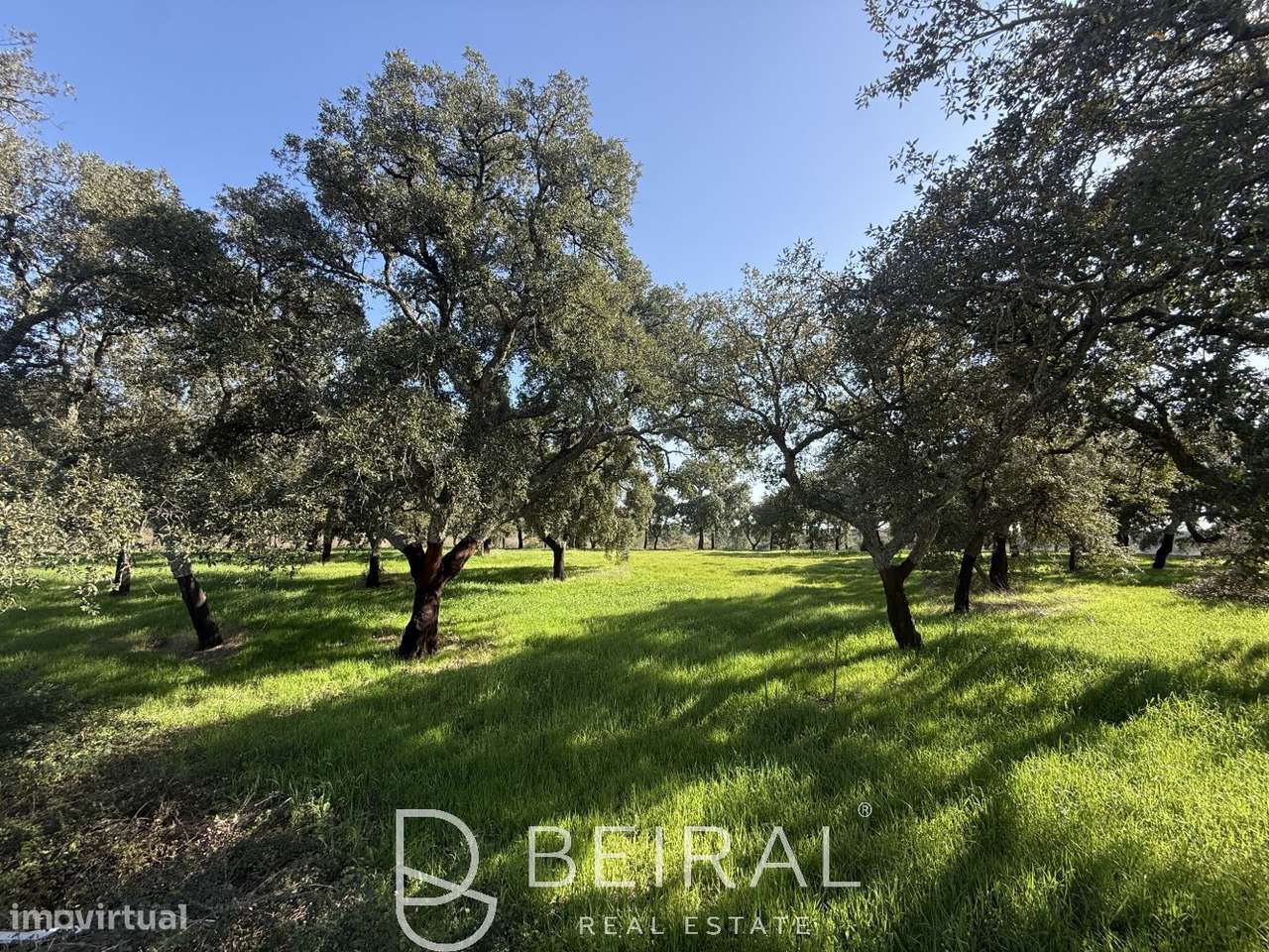 TERRENO DE PRESTÍGIO FRENTE AO LAGO NO GOLF DE SANTO ESTÊVÃO-15