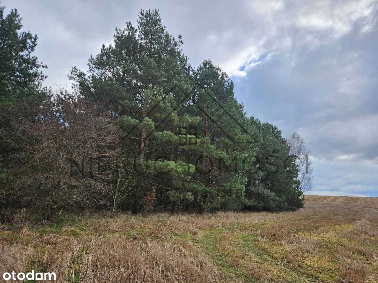 Działka budowlana w Łomnicy-7