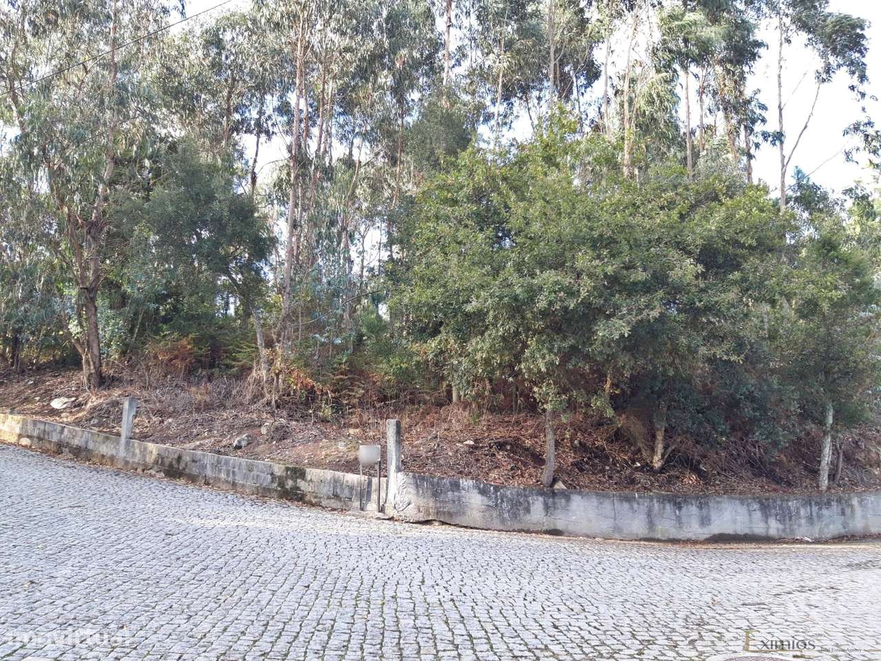 Terreno em Touguinha - Grande imagem: 4/4