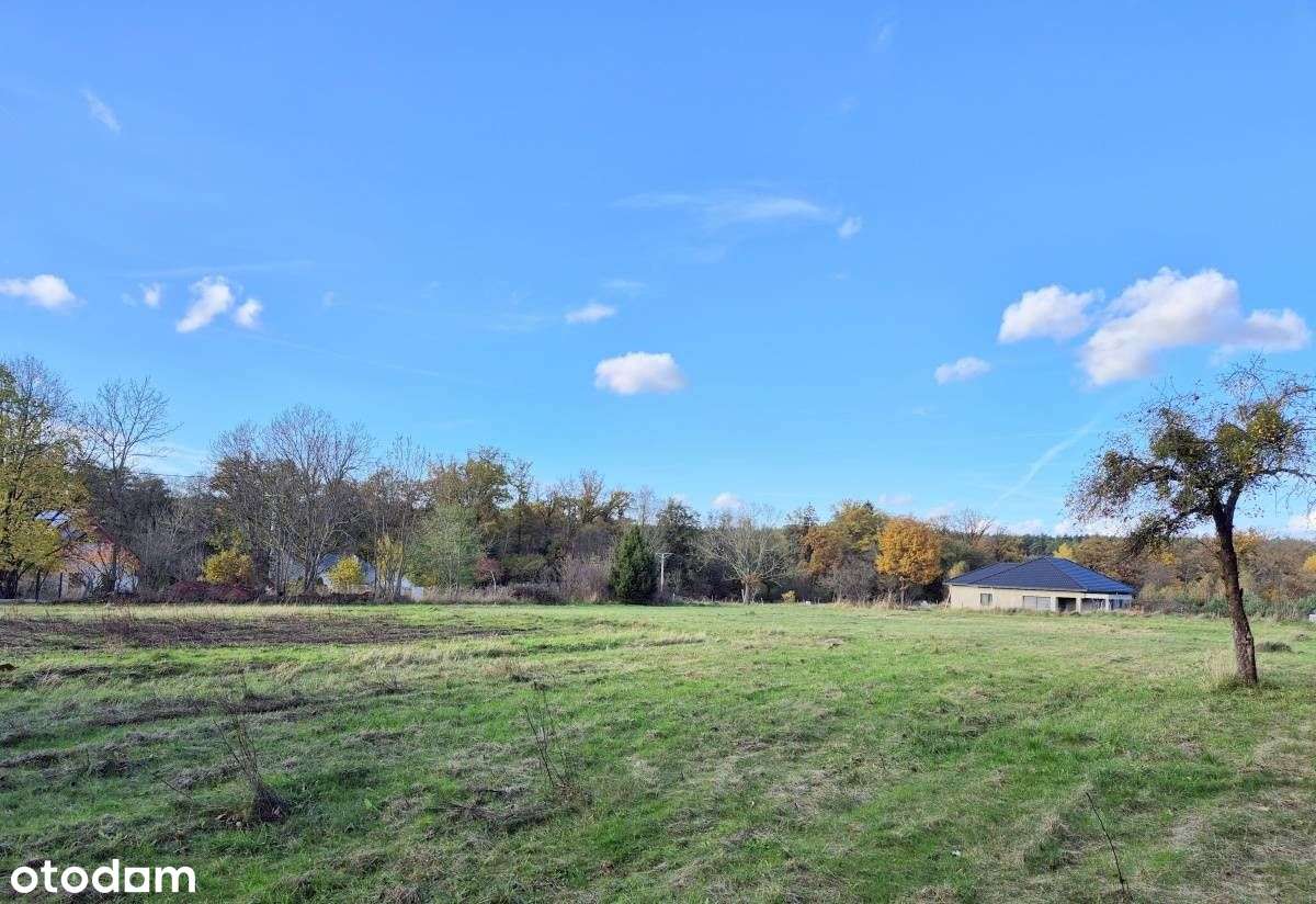 działka budowlana Garwół/Wołów - Pełny obrazek: 5/8